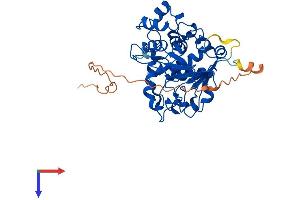 AlphaFold protein structure predicition of Mouse Recombinant St6galnac2 Protein, UniprotID P70277