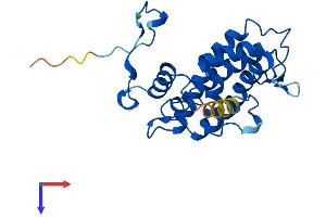 AlphaFold protein structure predicition of Human Recombinant MOB4 Protein, UniprotID Q9Y3A3