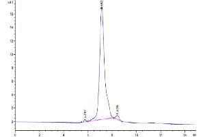 The purity of Human TNFSF12 is greater than 95 % as determined by SEC-HPLC.