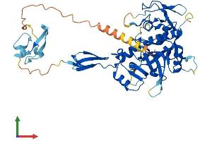 AlphaFold protein structure predicition of Human Recombinant TINAG Protein, UniprotID Q9UJW2