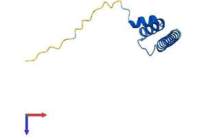 Cytochrome C Oxidase Assembly Factor 4 Homolog (S. Cerevisiae) (COA4) (AA 1-87) protein (His tag)