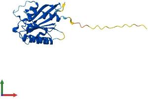 AlphaFold protein structure predicition of Human Recombinant NKIRAS2 Protein, UniprotID Q9NYR9