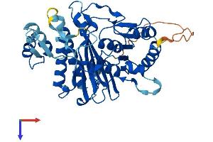 AlphaFold protein structure predicition of Human Recombinant INPP1 Protein, UniprotID P49441