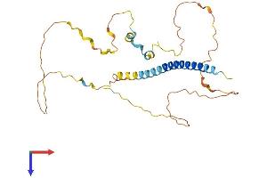 AlphaFold protein structure predicition of Mouse Recombinant Prr7 Protein, UniprotID Q3V0I2