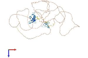 AlphaFold protein structure predicition of Human Recombinant TAF15 Protein, UniprotID Q92804