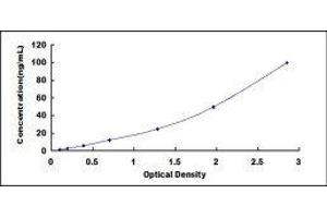 ELISA image for Insulin-Like Growth Factor Binding Protein, Acid Labile Subunit (IGFALS) ELISA Kit (ABIN419542)