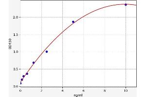 Typical standard curve (GATA2 Kit ELISA)