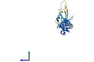 AlphaFold protein structure predicition of Mouse Recombinant Itm2b Protein, UniprotID O89051