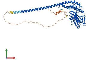 AlphaFold protein structure predicition of Human Recombinant STAMBPL1 Protein, UniprotID Q96FJ0