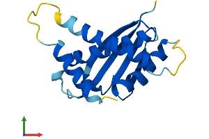 AlphaFold protein structure predicition of Mouse Recombinant Trappc6a Protein, UniprotID Q78XR0