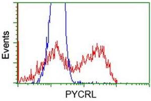 Flow Cytometry (FACS) image for anti-Pyrroline-5-Carboxylate Reductase 3 (PYCRL) antibody (ABIN1500524) (PYCRL anticorps)