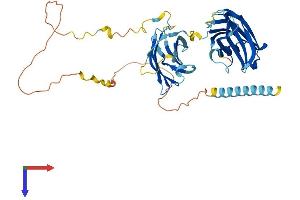 AlphaFold protein structure predicition of Mouse Recombinant Syt15 Protein, UniprotID Q8C6N3