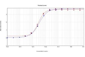 ELISA results of Anti-Feimin (Mouse) Monoclonal Antibody Clone 7F7. (Feimin anticorps)