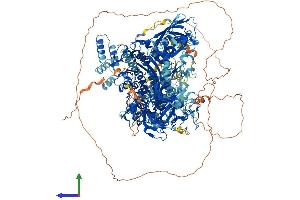 AlphaFold protein structure predicition of Mouse Recombinant Dnmt1 Protein, UniprotID P13864