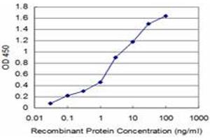 Detection limit for recombinant GST tagged ACYP2 is approximately 0.