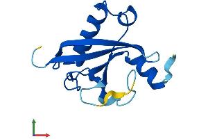 AlphaFold protein structure predicition of Human Recombinant C2orf76 Protein, UniprotID Q3KRA6