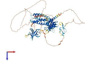 AlphaFold protein structure predicition of Mouse Recombinant Fgd3 Protein, UniprotID O88842