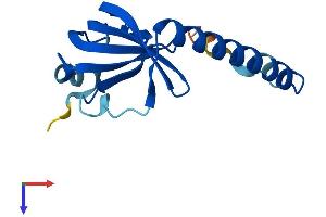 AlphaFold protein structure predicition of Human Recombinant LSM1 Protein, UniprotID O15116