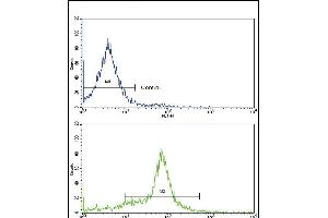 Flow cytometric analysis of 293 cells using GDF6 Antibody (C-term)(bottom histogram) compared to a negative control cell (top histogram).