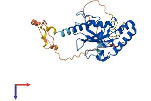 AlphaFold protein structure predicition of Mouse Recombinant Aktip Protein, UniprotID Q64362