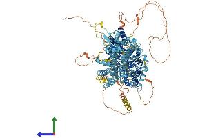 AlphaFold protein structure predicition of Human Recombinant SLC4A10 Protein, UniprotID Q6U841