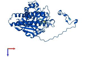 AlphaFold protein structure predicition of Human Recombinant FOLH1B Protein, UniprotID Q9HBA9