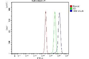 Flow Cytometry analysis of HepG2 cells using anti-TRMT61A antibody (ABIN7599220). (TRMT61A anticorps  (AA 1-289))