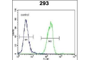 SOX2 Antibody (Center) (ABIN6243286 and ABIN6577389) flow cytometric analysis of 293 cells (right histogram) compared to a negative control cell (left histogram).