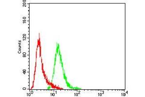 Flow cytometric analysis of Hela cells using CSF1R mouse mAb (green) and negative control (red). (CSF1R anticorps  (AA 20-152))