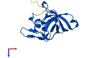 AlphaFold protein structure predicition of Human Recombinant RPL23 Protein, UniprotID P62829