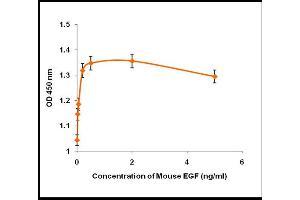 Activity Assay (AcA) image for Epidermal Growth Factor (EGF) (Active) protein (ABIN5509295) (EGF Protéine)