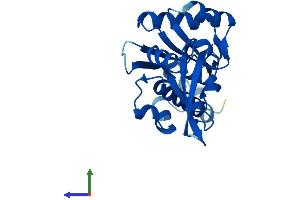 AlphaFold protein structure predicition of Human Recombinant POLR2E Protein, UniprotID P19388