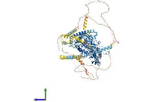 AlphaFold protein structure predicition of Mouse Recombinant Pkd2 Protein, UniprotID O35245