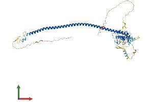 AlphaFold protein structure predicition of Human Recombinant ATG14 Protein, UniprotID Q6ZNE5