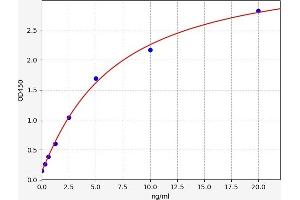 Typical standard curve (GRIN1/NMDAR1 Kit ELISA)