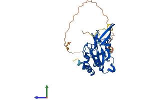AlphaFold protein structure predicition of Human Recombinant CTDSPL Protein, UniprotID O15194