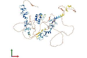 AlphaFold protein structure predicition of Mouse Recombinant Ablim3 Protein, UniprotID Q69ZX8