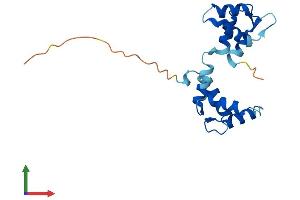 AlphaFold protein structure predicition of Mouse Recombinant Myl7 Protein, UniprotID Q9QVP4