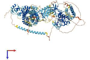 AlphaFold protein structure predicition of Human Recombinant MAP3K6 Protein, UniprotID O95382
