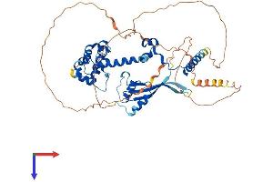 AlphaFold protein structure predicition of Human Recombinant NELFA Protein, UniprotID Q9H3P2