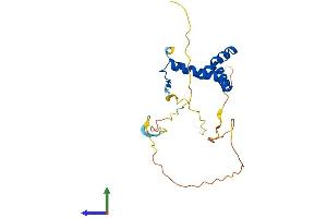 AlphaFold protein structure predicition of Human Recombinant SOX14 Protein, UniprotID O95416