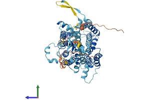 AlphaFold protein structure predicition of Human Recombinant SLC23A1 Protein, UniprotID Q9UHI7