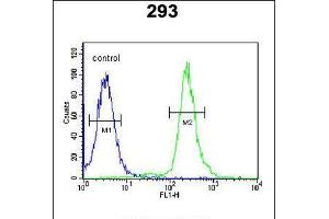 Flow cytometric analysis of 293 cells (right histogram) compared to a negative control cell (left histogram). (GBP7 anticorps  (C-Term))