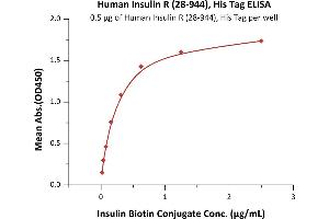 Insulin Receptor (INSR) (AA 28-944) (Active) protein (His tag)