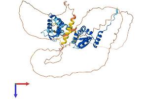 AlphaFold protein structure predicition of Human Recombinant NACC1 Protein, UniprotID Q96RE7