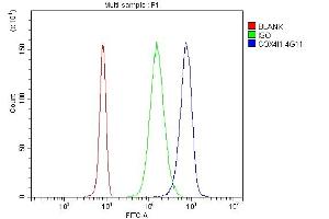 Flow Cytometry analysis of U937 cells using anti- COX IV antibody (ABIN7602090).