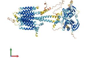 AlphaFold protein structure predicition of Human Recombinant ADCY4 Protein, UniprotID Q8NFM4