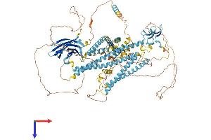 AlphaFold protein structure predicition of Human Recombinant WWC1 Protein, UniprotID Q8IX03