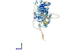 AlphaFold protein structure predicition of Mouse Recombinant Ddx56 Protein, UniprotID Q9D0R4