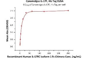 Immobilized Cynomolgus IL-17F, His Tag (ABIN6973113) at 2 μg/mL (100 μL/well) can bind Recombinant Human IL-17RC Isoform 1 Fc Chimera with a linear range of 0.
